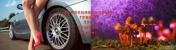 кокс Абаза