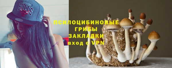 кокс Абаза