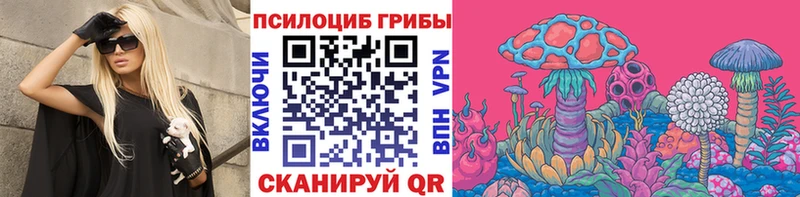 Галлюциногенные грибы Psilocybine cubensis  купить  цена  Старая Купавна 