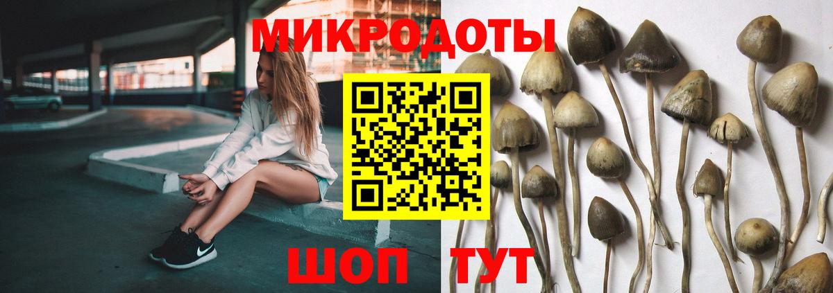 Псилоцибиновые грибы MAGIC MUSHROOMS  Вход с VPN  Старая Купавна  Псилоцибиновые грибы мицелий 